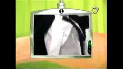 Нина - Обичам Друг (а Па Па)