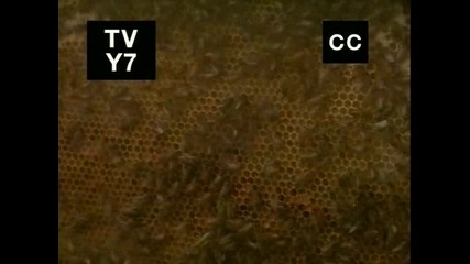 Училище '' Черната дупка '' еп. 15