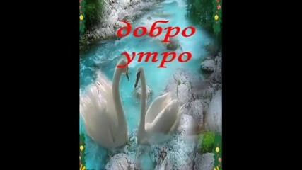 Добро утро приятели