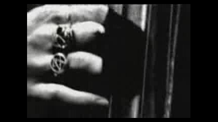 Tiger Army - Never Die!.