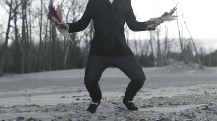 Say We Can Fly - Song of The Sparrow ( Official Video)