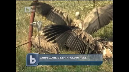 Завръщане в българското небе