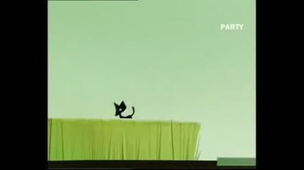 Groove Cats - Once In A Lifetime Groove