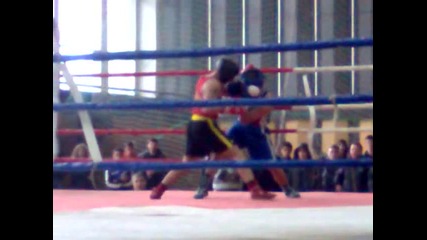 Boxing Polufinal Dobrich