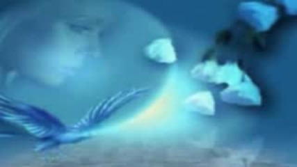 Ernesto Cortazar - The Sky Lives Among Your Eyes