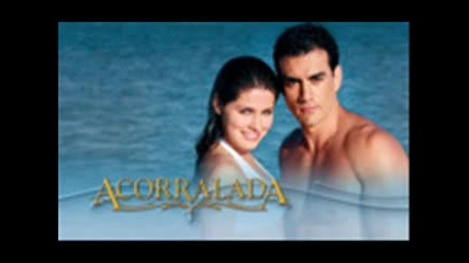 Angel Arce-acorralada