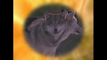 Enya - Dance With Wolves