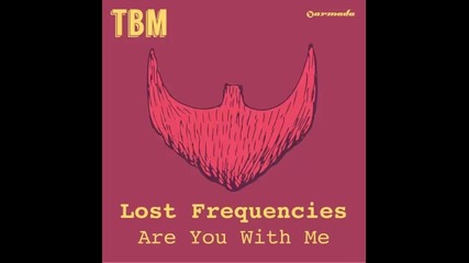 *2015* Lost Frequencies - Are you with me
