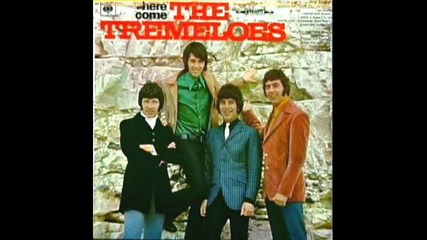 The Tremeloes - Sandy