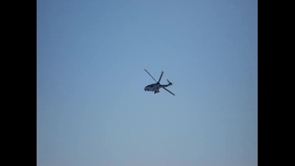 Aviosholoto