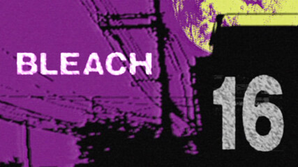 Bleach - Episode 16 [bg Sub][1080p][viz Blu-ray]