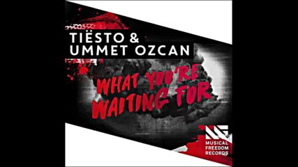 *2016* Tiesto & Ummet Ozcan - What You're Waiting For