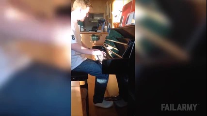 Най-щурите котки - Смях!