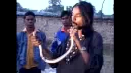 Индиец яде живи змии 