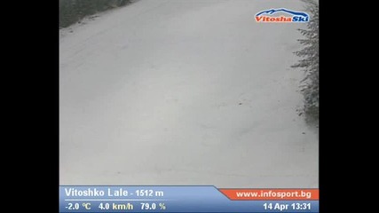 Vitosha - 14.04.2011