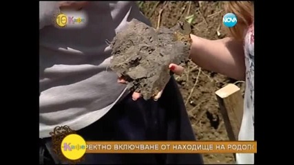 Лечебните свойства на хумата - На кафе (26.05.2014г.)