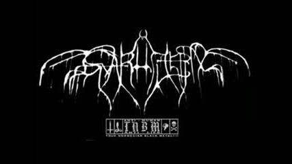 Svarttjern - Misanthropic Path of Madness