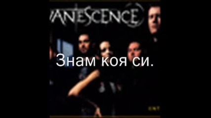 Evanescence - Everybody`s Fool Prevod