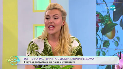Топ 10 на растенията с добра енергия в дома - „На кафе” (22.07.2020)