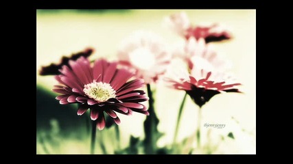 Lutrica Mcneal - Lately 