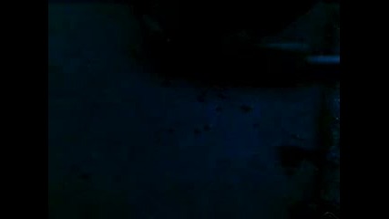 Svm A0006.mp4