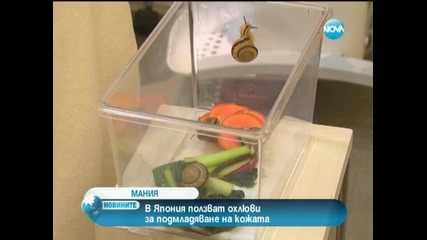 Мания сред японките: Подмладяваща терапия с охлюви