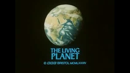 Bbc - David Attenborough's "the Living Planet" - s01e06 - The Baking Deserts (1986)