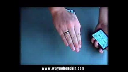 Wayne Houchin - Invisible palm