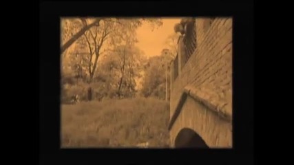 Koli - Tingel Tangel