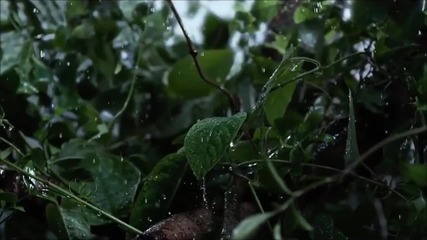 Mehdi - Heavens Rain