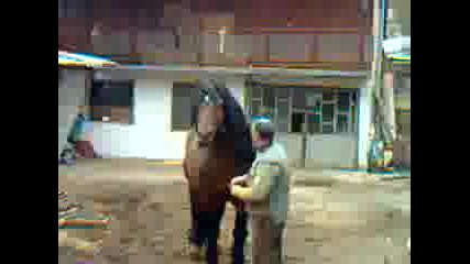 Paparak0001