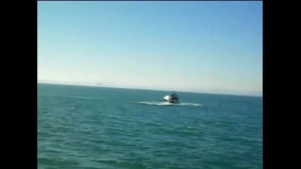 Кит напада лодка