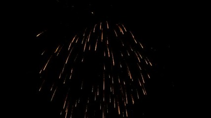 2010 Japanese huge 48 inch shell firework 2 2