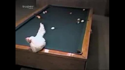 Ето Така Се Играе Билярд