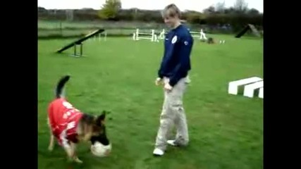 Fernando Torres - много специално видео ..