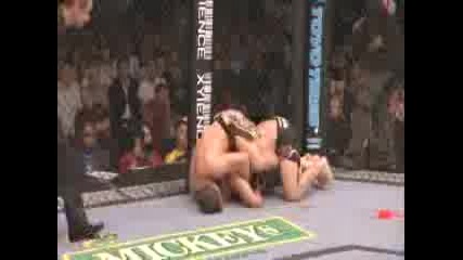 Forrest Griffin Ufc Highlights