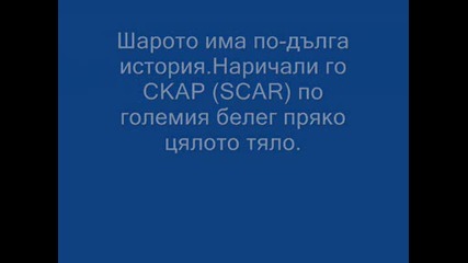 Световен Рекорд за Улов на Шаран - 41кг 