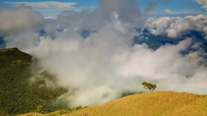 Prelude of Dreams (mt. Pulag National Park)