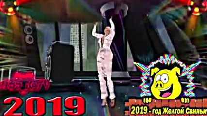Disco Сборник 2019