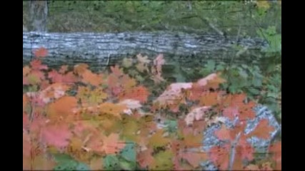 Fariborz Lachini - Fall in Love Again