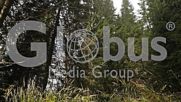 Globus Media Group - Проект - Централен Балкан - Боатин/ Project "Central Balkan" - Boatin Reserve