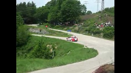 Рали Вида 2009