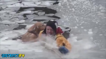 Пожарникари спасяват куче попаднало в ледена река