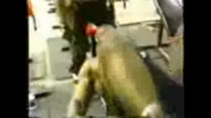 Ronnie Coleman - Лудото Момченце