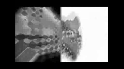 Claude Vonstroke.wmv