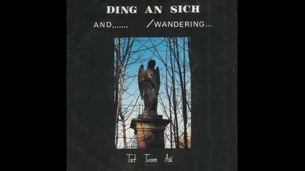 Ding An Sich 