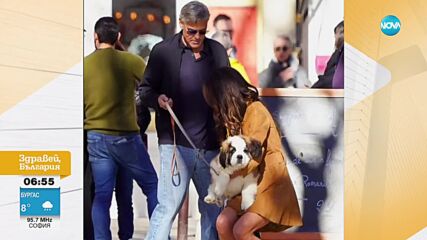 Семейството на Джордж и Амал Клуни има нов член