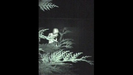 Real Aliens 