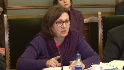 Бъчварова: Нямаме ресурс за ограда по цялата граница с Турция (ВИДЕО)