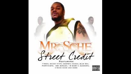 Mr.sche - no sunshine (street credit 2009)